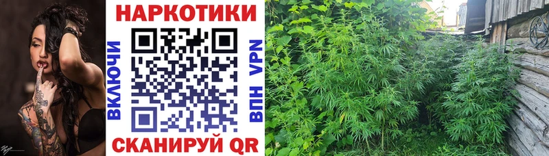 Как найти закладки Хасавюрт СК  Меф мяу мяу  МАРИХУАНА 
