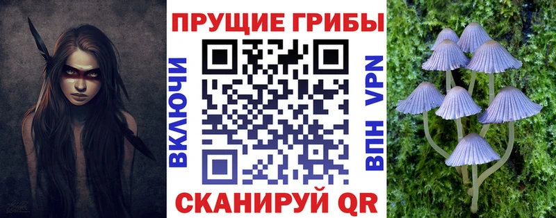 Псилоцибиновые грибы Psilocybe  hydra ТОР  Хасавюрт 
