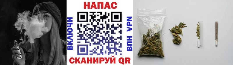 цены наркотик  Хасавюрт  Бошки марихуана конопля 